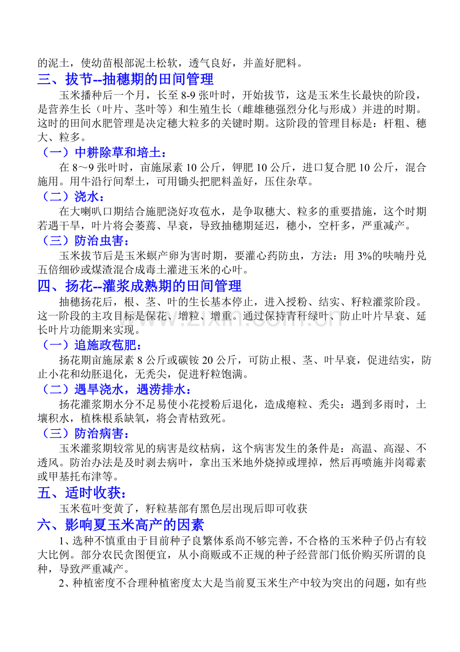 玉米高产栽培技术措施.doc_第2页