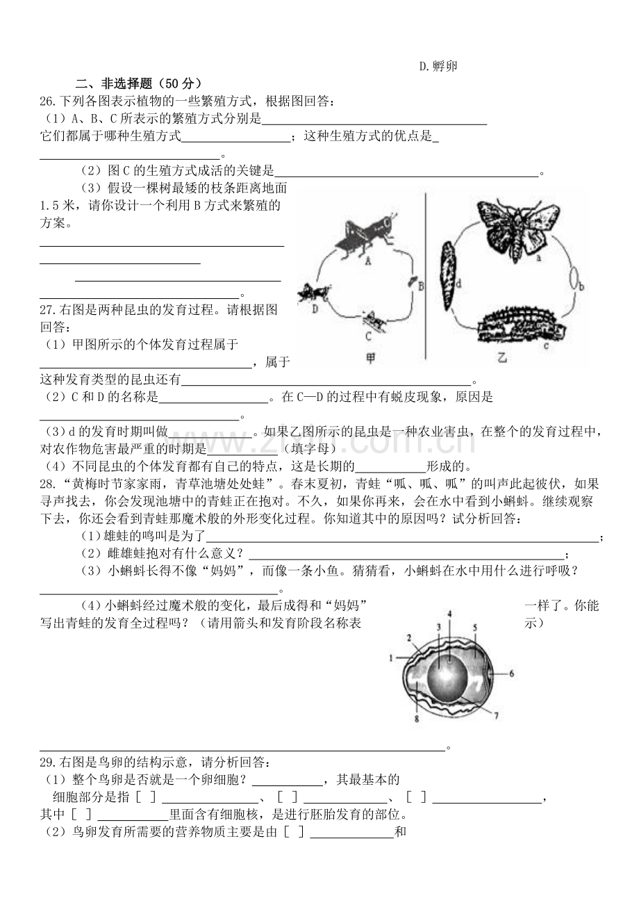 生物的生殖和发育试题.doc_第3页