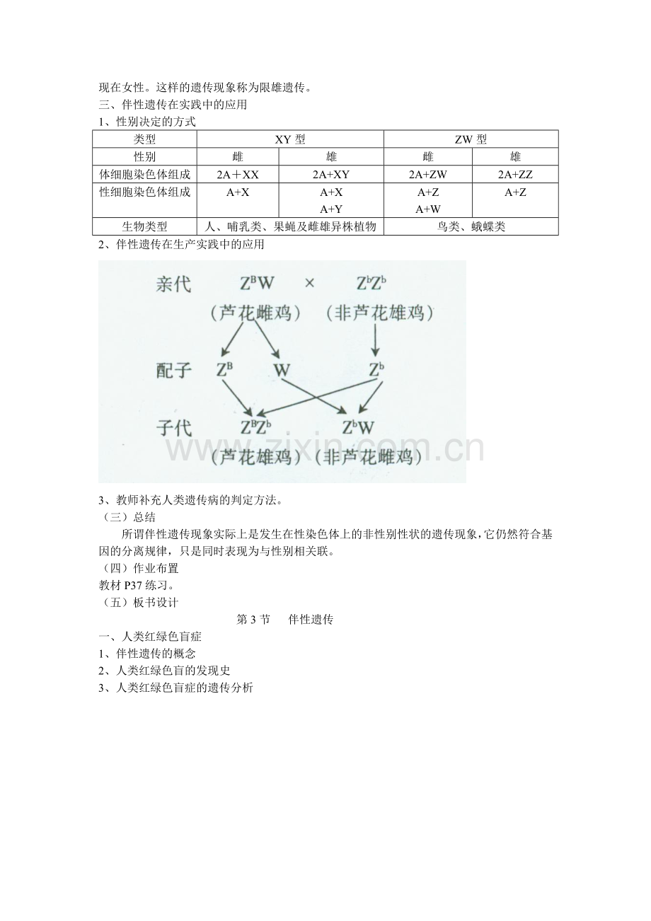 伴性遗传32.doc_第3页