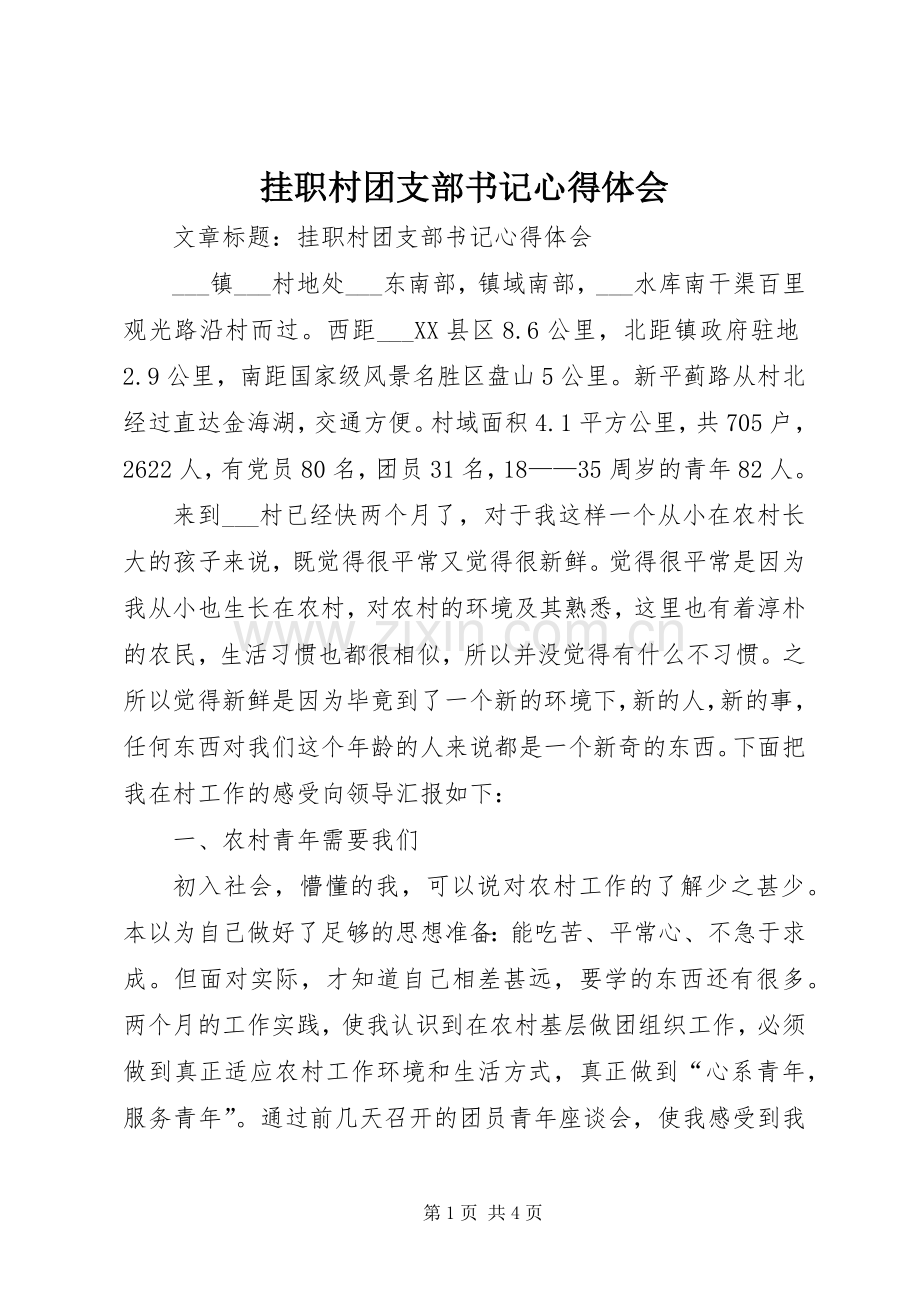 挂职村团支部书记体会心得.docx_第1页