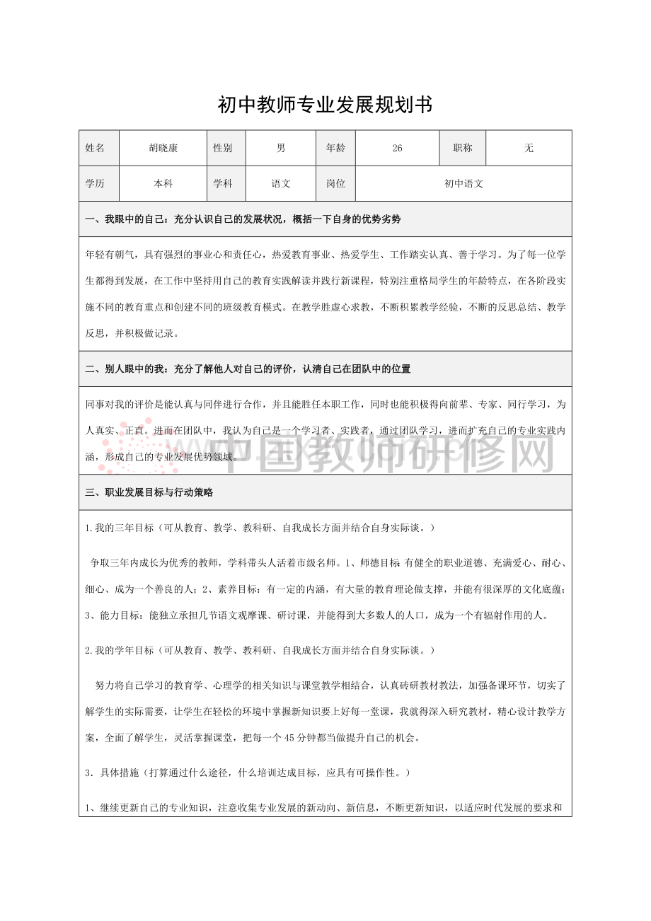 初中语文教师专业发展规划书.docx_第1页