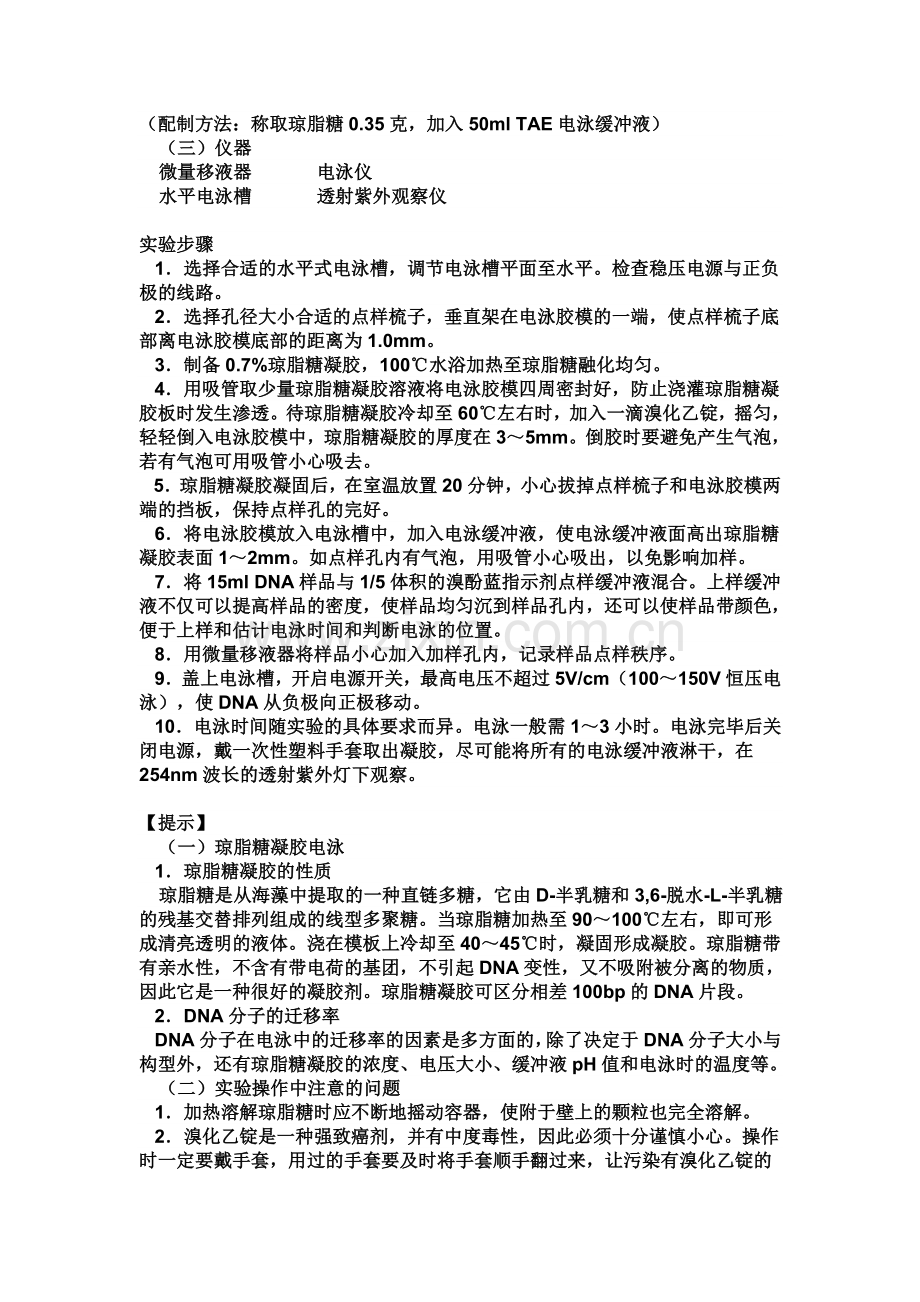 琼脂糖凝胶电泳的操作步骤.doc_第2页