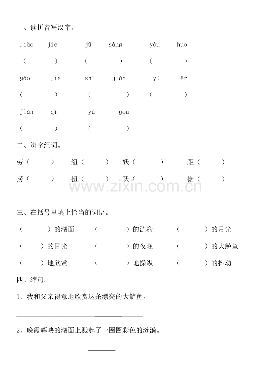 钓鱼的启示作业题.docx_第1页