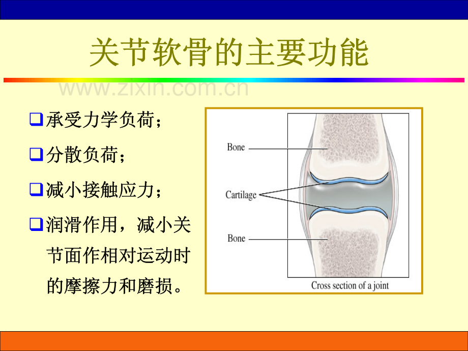 临床生物力学基础_3.pdf_第2页