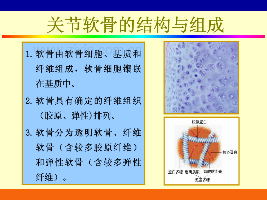 临床生物力学基础_3.pdf_第3页