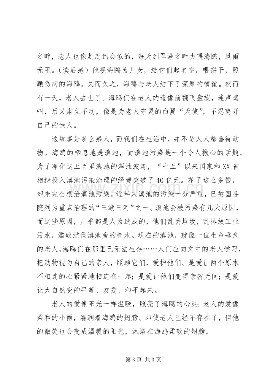 老人与海鸥读后心得.docx_第3页