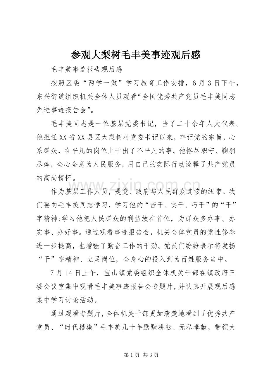 参观大梨树毛丰美事迹观后心得.docx_第1页