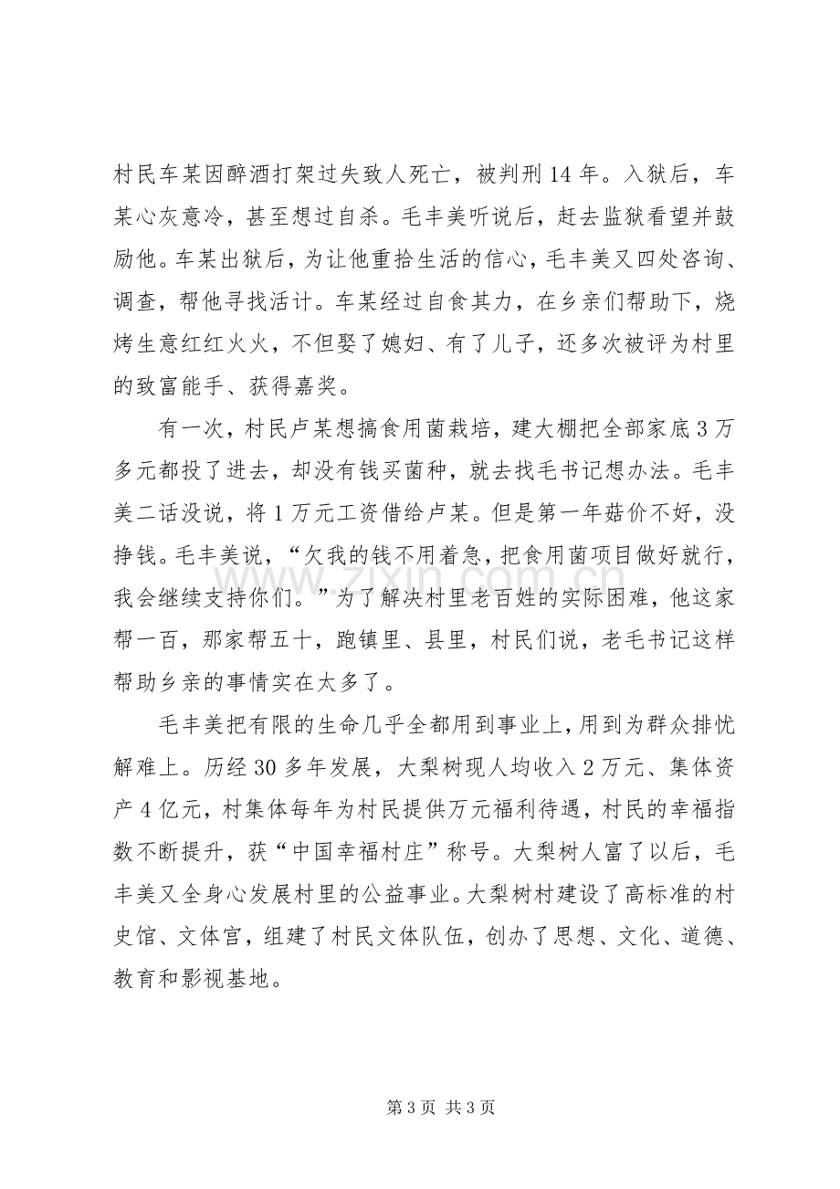 参观大梨树毛丰美事迹观后心得.docx_第3页