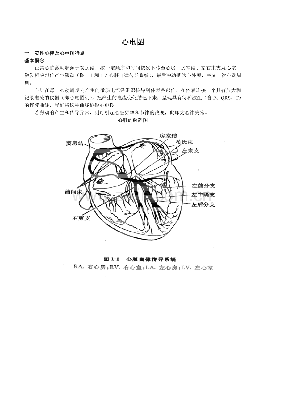 课件--窦性心律及心电图特点.doc_第1页