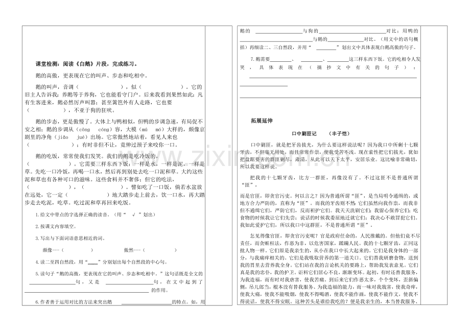 白鹅-第二课时.docx_第2页