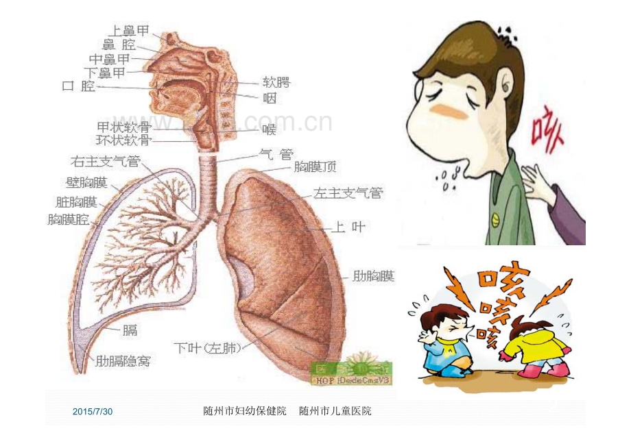 儿童慢性咳嗽诊断与治疗指南(2013年修订) [兼容模式].pdf_第2页