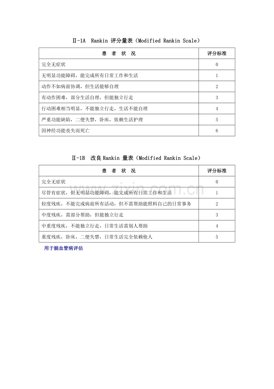 脑血管病评分表格.doc_第2页