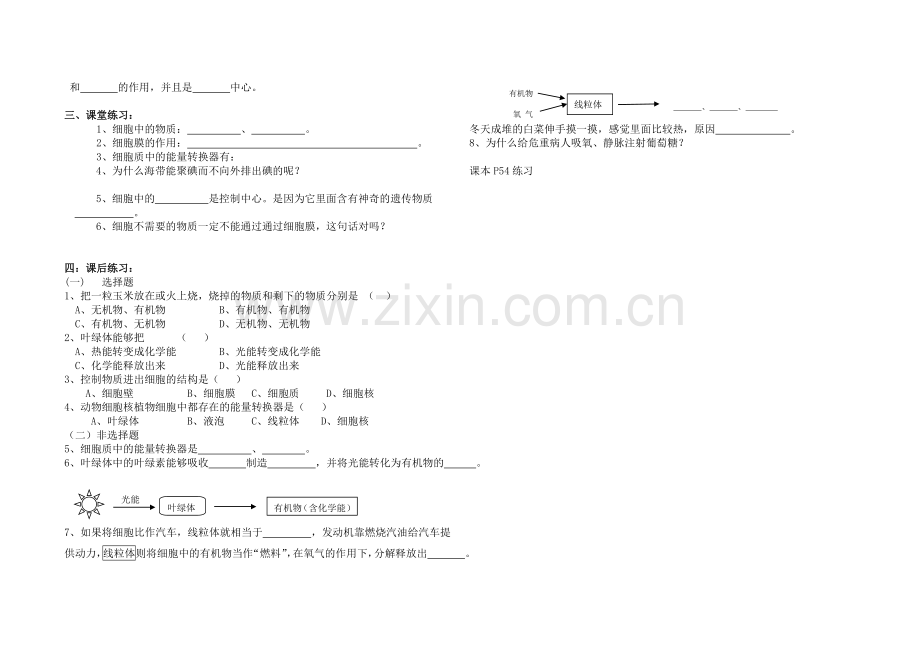 第四节细胞的生活.doc_第2页