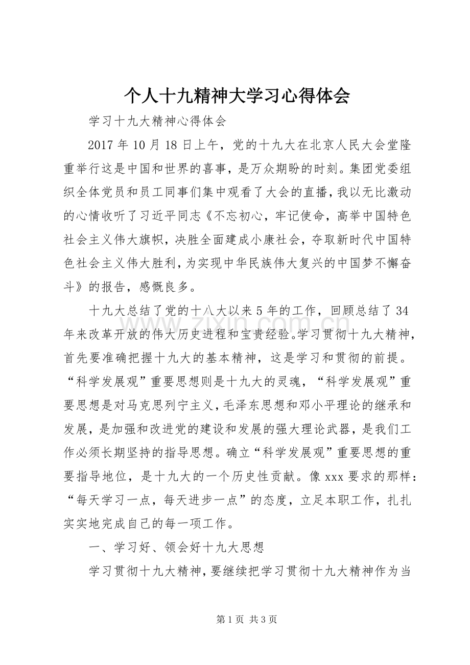 个人十九精神大学习体会心得.docx_第1页