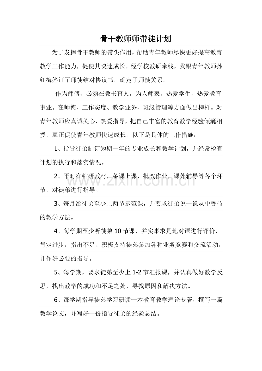 骨干教师师带徒计划.doc_第2页