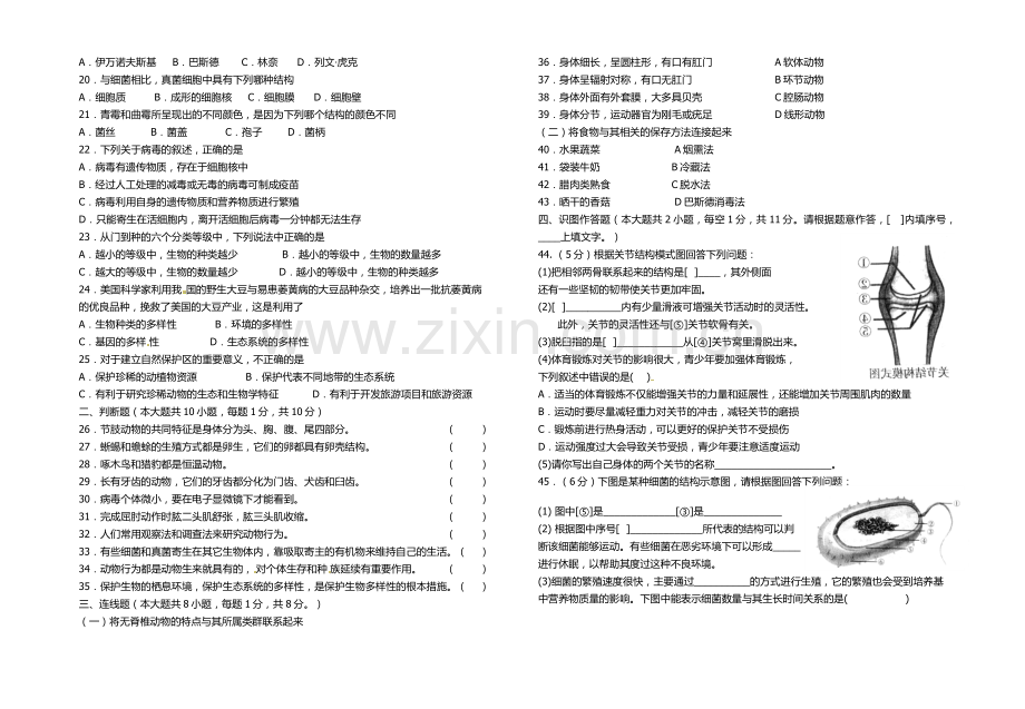 八年级上册期末测试题（三）.docx_第2页