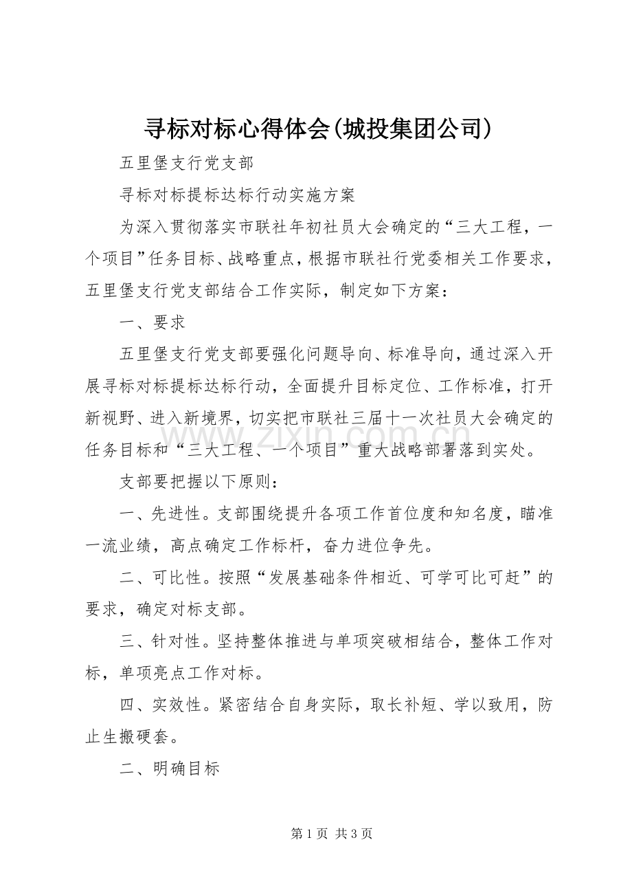 寻标对标体会心得(城投集团公司).docx_第1页