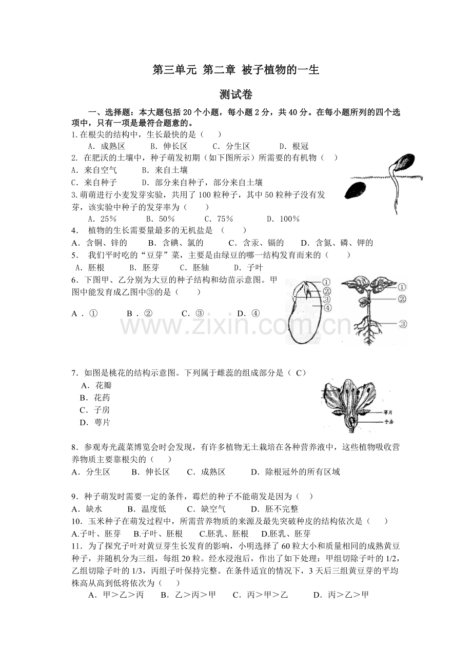 第三单元第二章被子植物的一生(测试卷）.doc_第1页