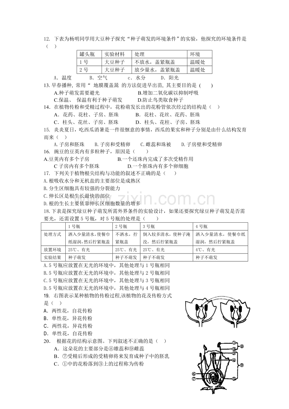 第三单元第二章被子植物的一生(测试卷）.doc_第2页