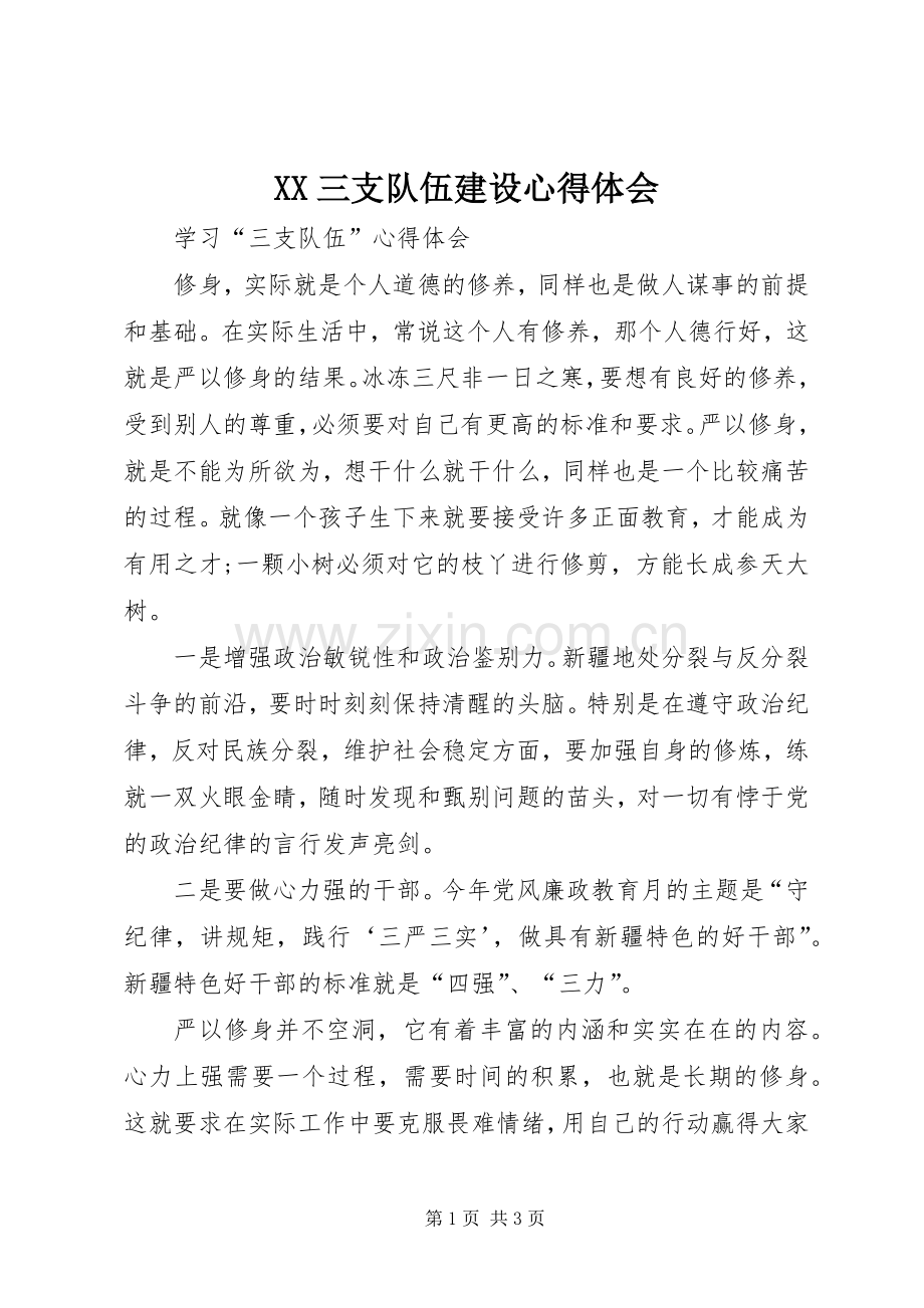 XX三支队伍建设体会心得.docx_第1页