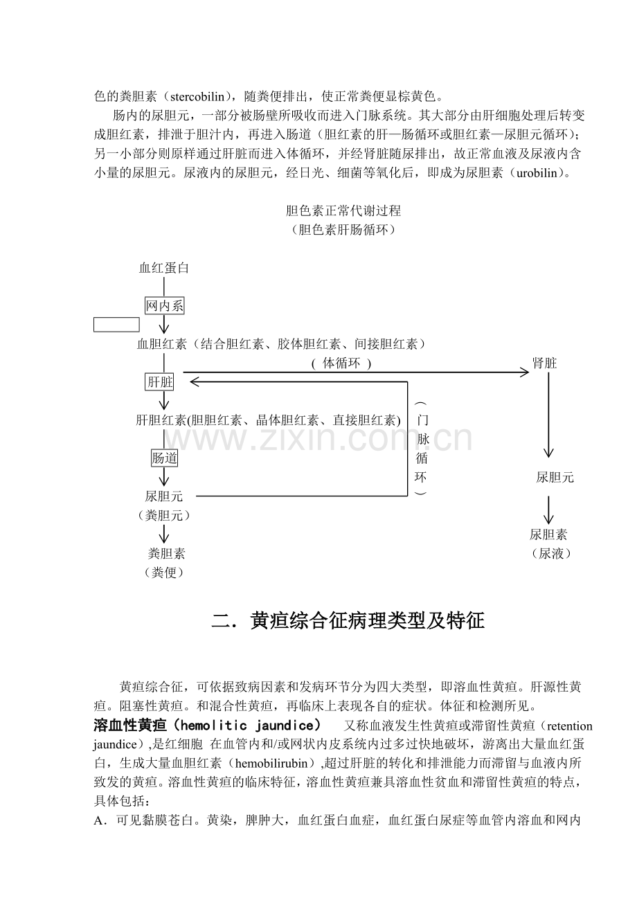 黄疸综合征.doc_第2页