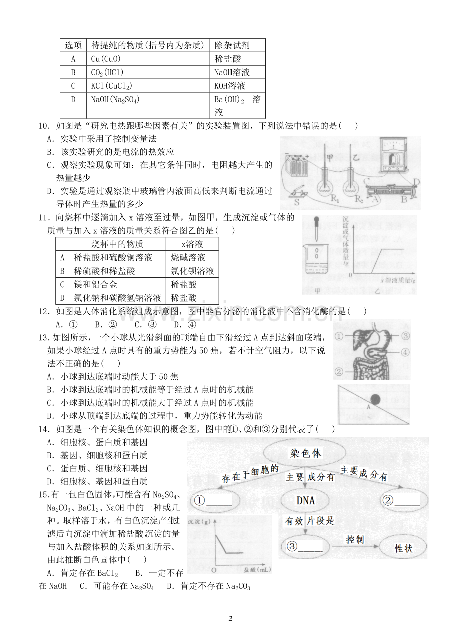 绍兴市区2013学年第一学期期末教学质量抽测九年级科学试卷.doc_第2页