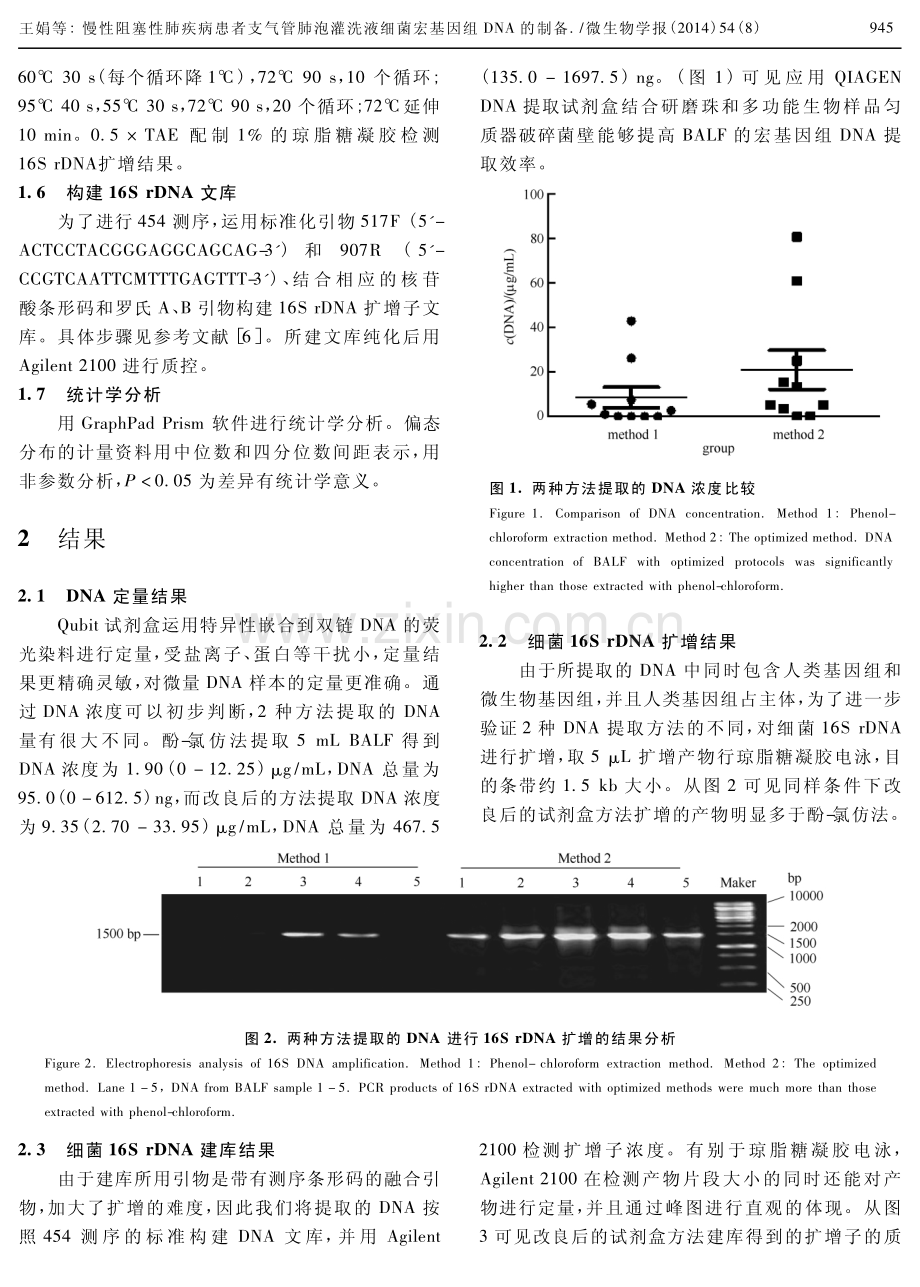 慢性阻塞性肺疾病患者支气管肺泡灌洗液细菌宏基因组DNA的制备.pdf_第3页