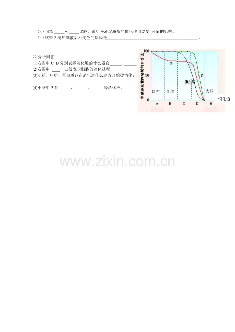 消化和吸收练习题.doc_第3页