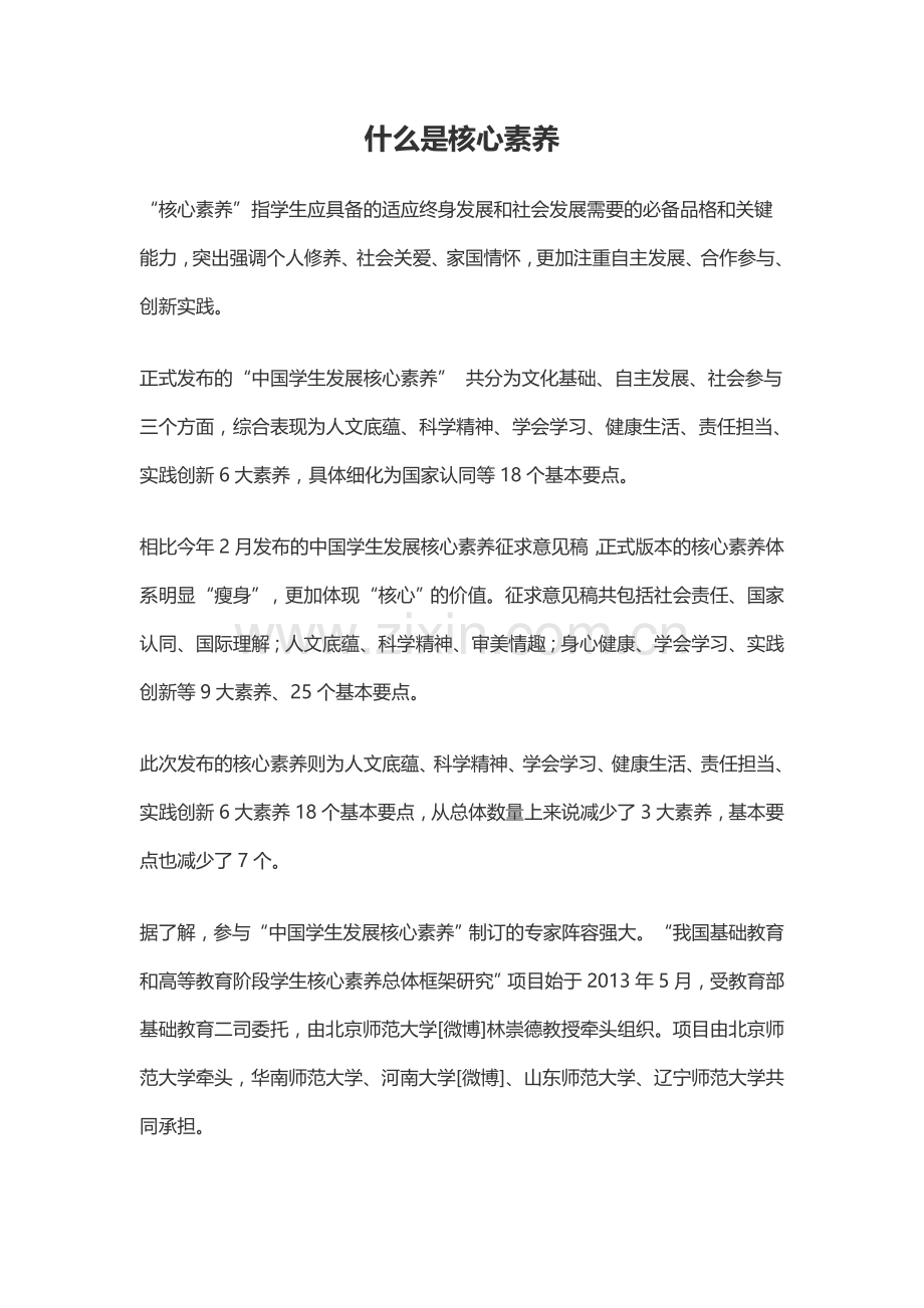 什么是核心素养.docx_第1页