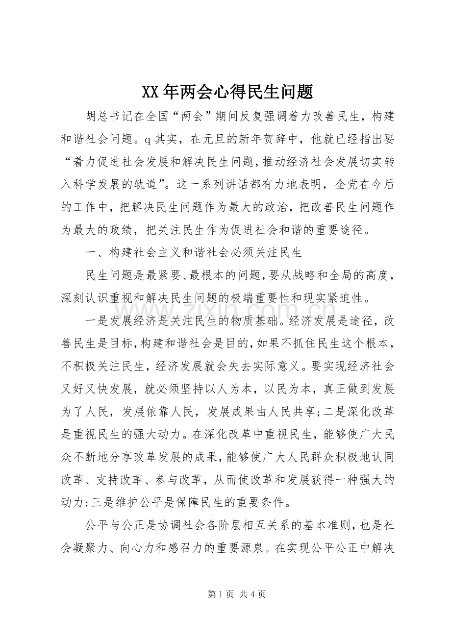 XX年两会心得民生问题.docx_第1页