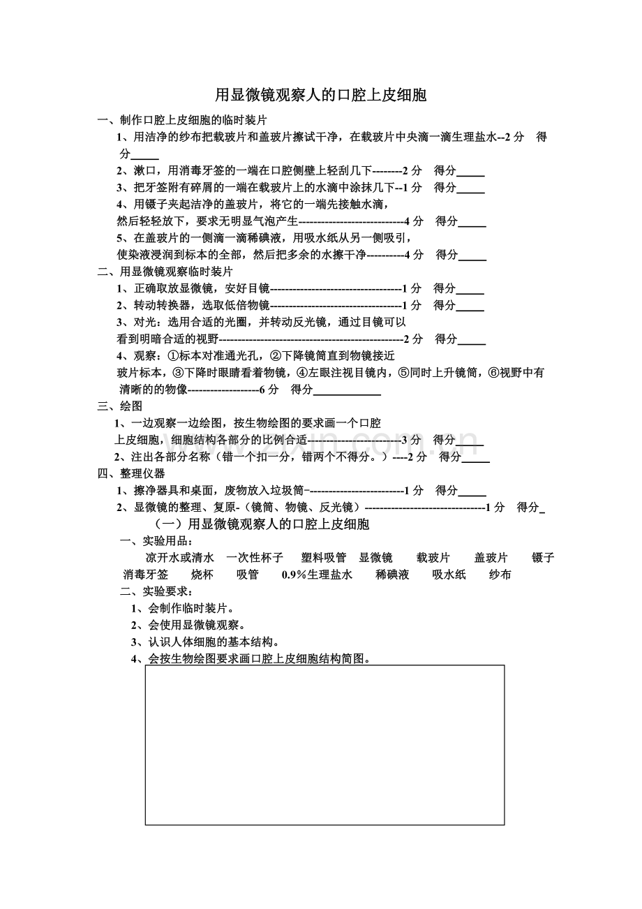 用显微镜观察人的口腔上皮细胞.doc_第1页