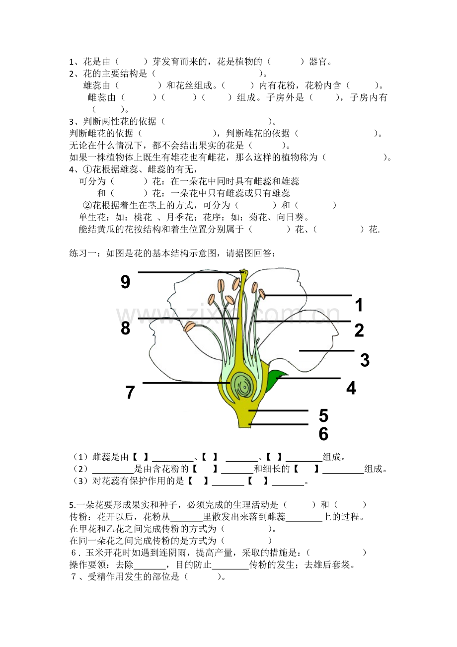 济南版生物八年级上册复习题.doc_第1页