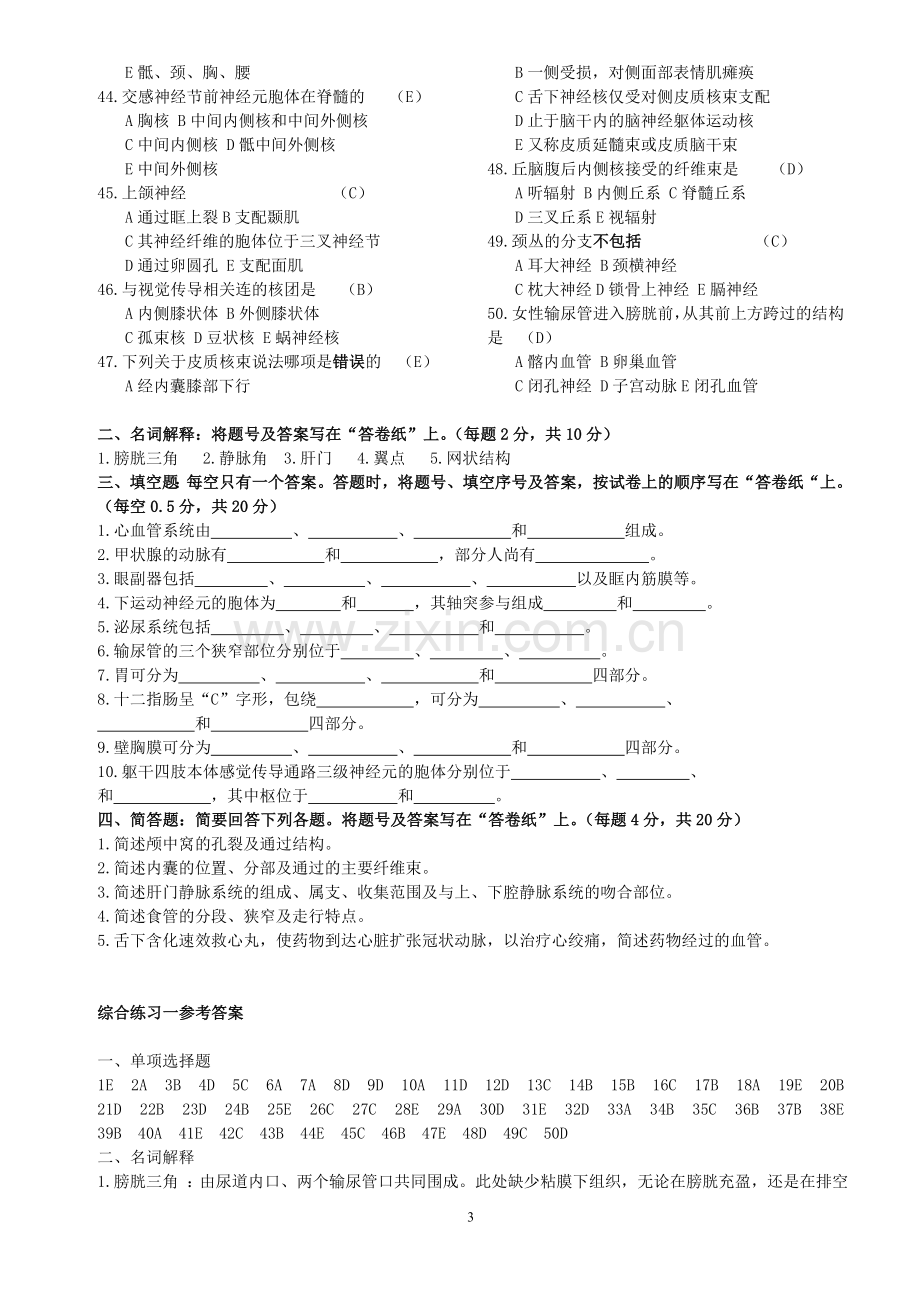 解剖综合练习题.doc_第3页