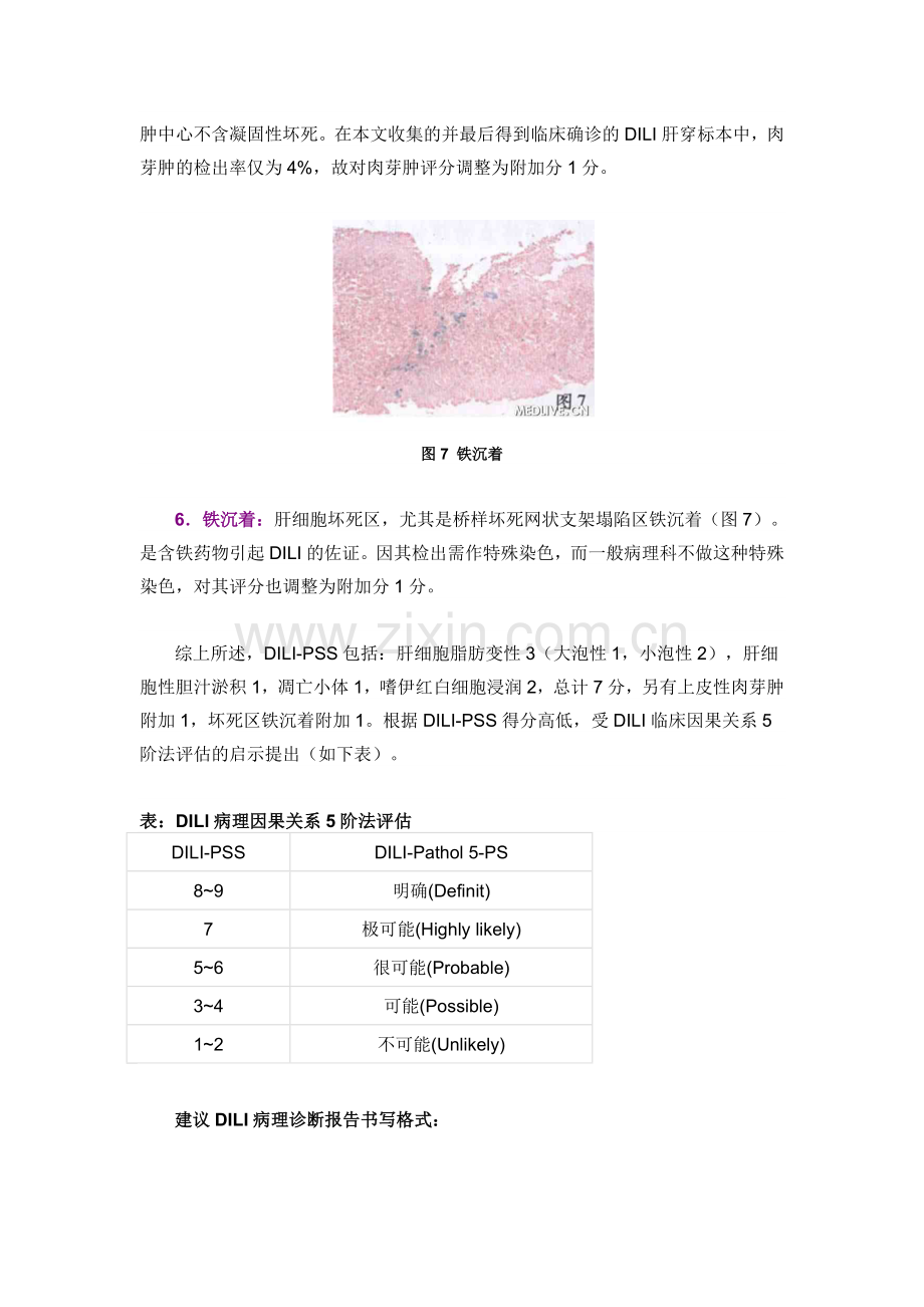 药物性肝损伤组织病理学评分.docx_第3页