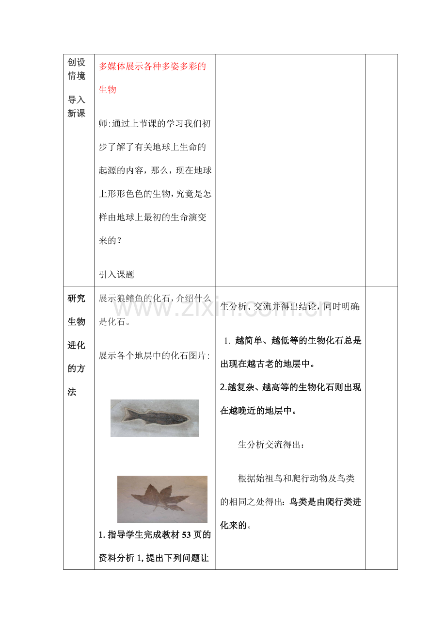 生物进化的历程教学设计.doc_第3页