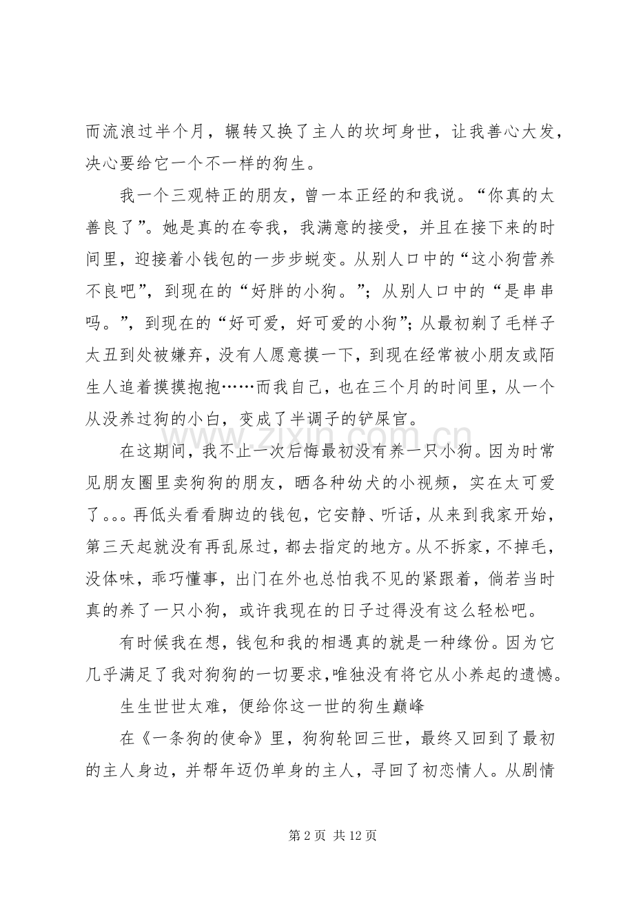 一条狗的使命观后心得.docx_第2页