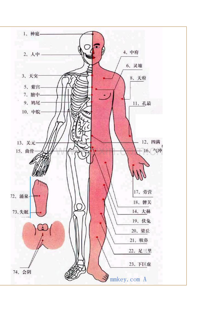 人体穴位全图.doc_第2页