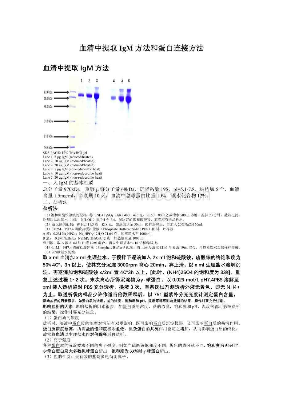 血清中提取IgM方法和蛋白连接方法.doc_第1页