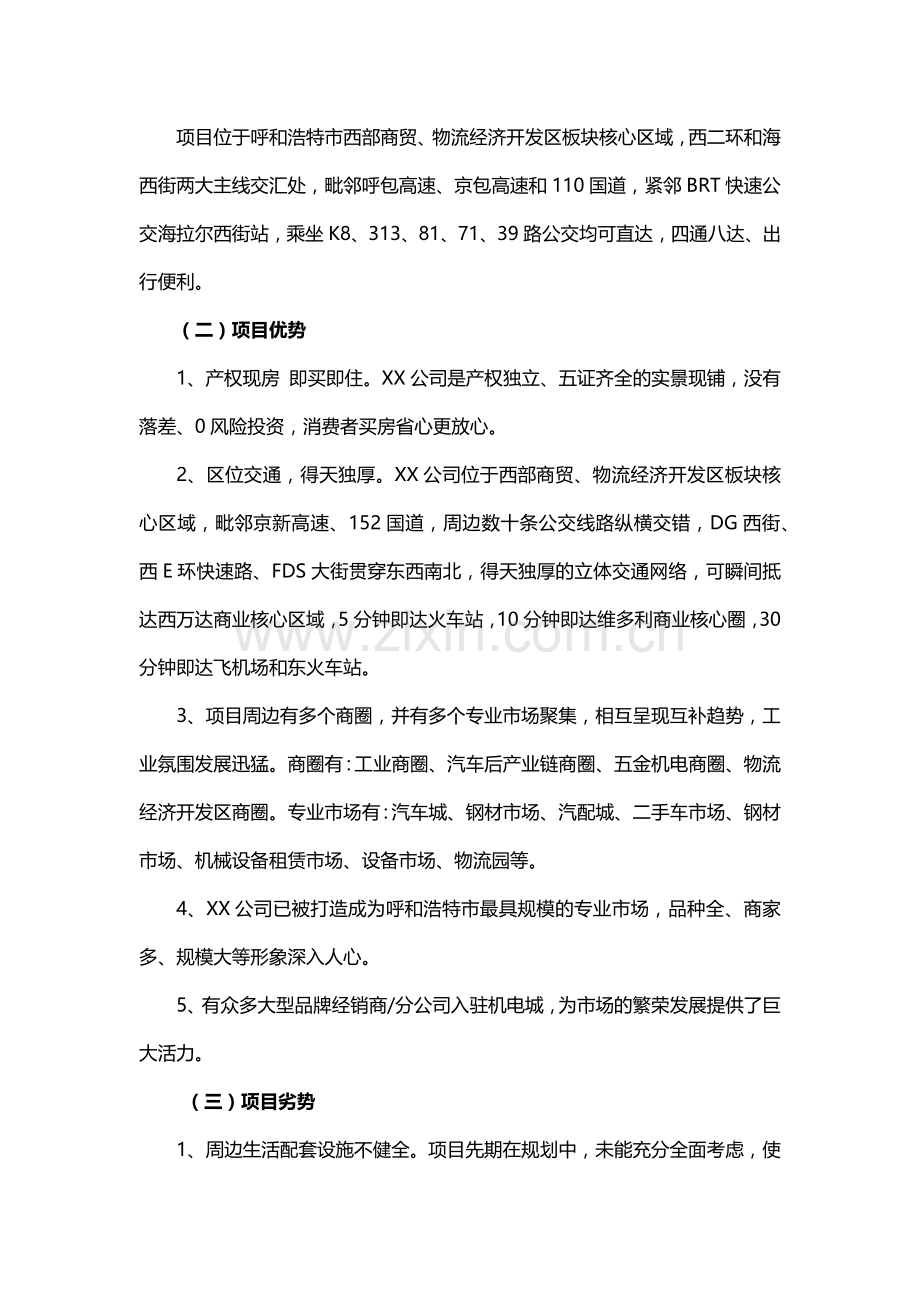 公司品牌战略规划.docx_第3页