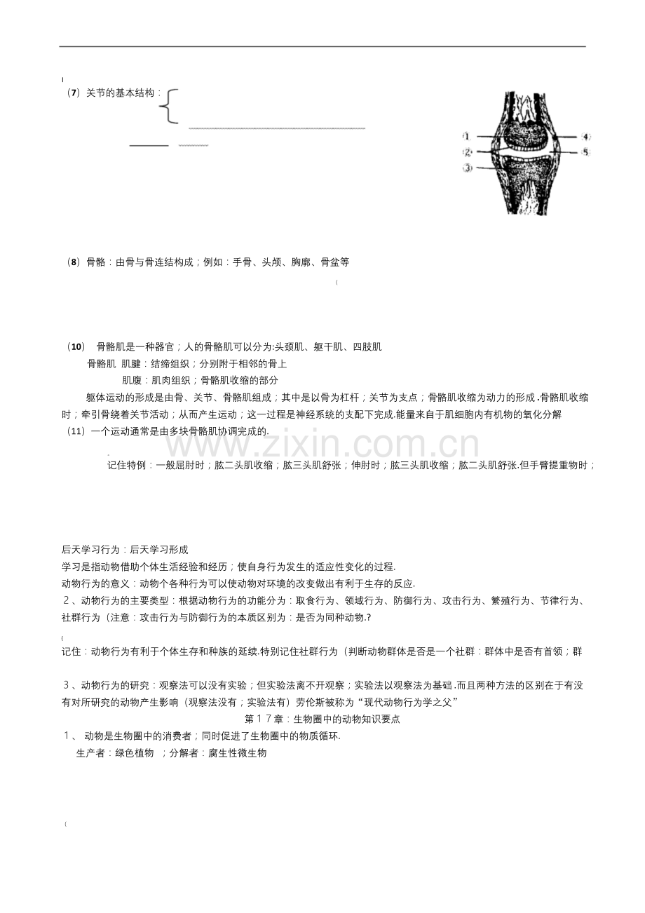 北师大版八年级上册生物知识点总结(面).docx_第2页