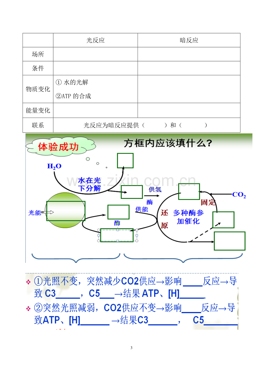 光合与呼吸知识点填空.docx_第3页