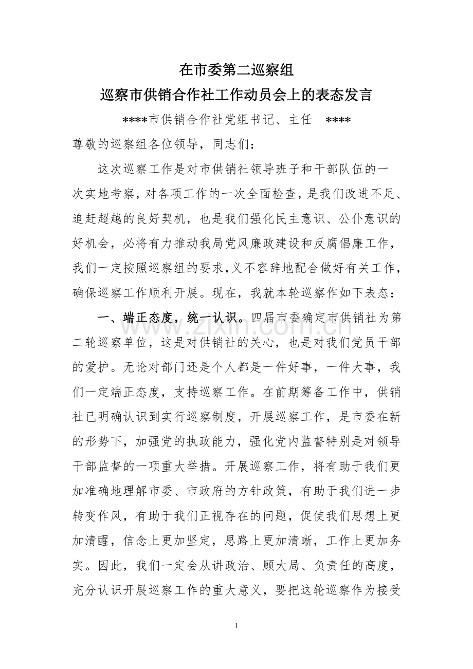 在市纪委巡察动员会上的表态发言.doc_第1页