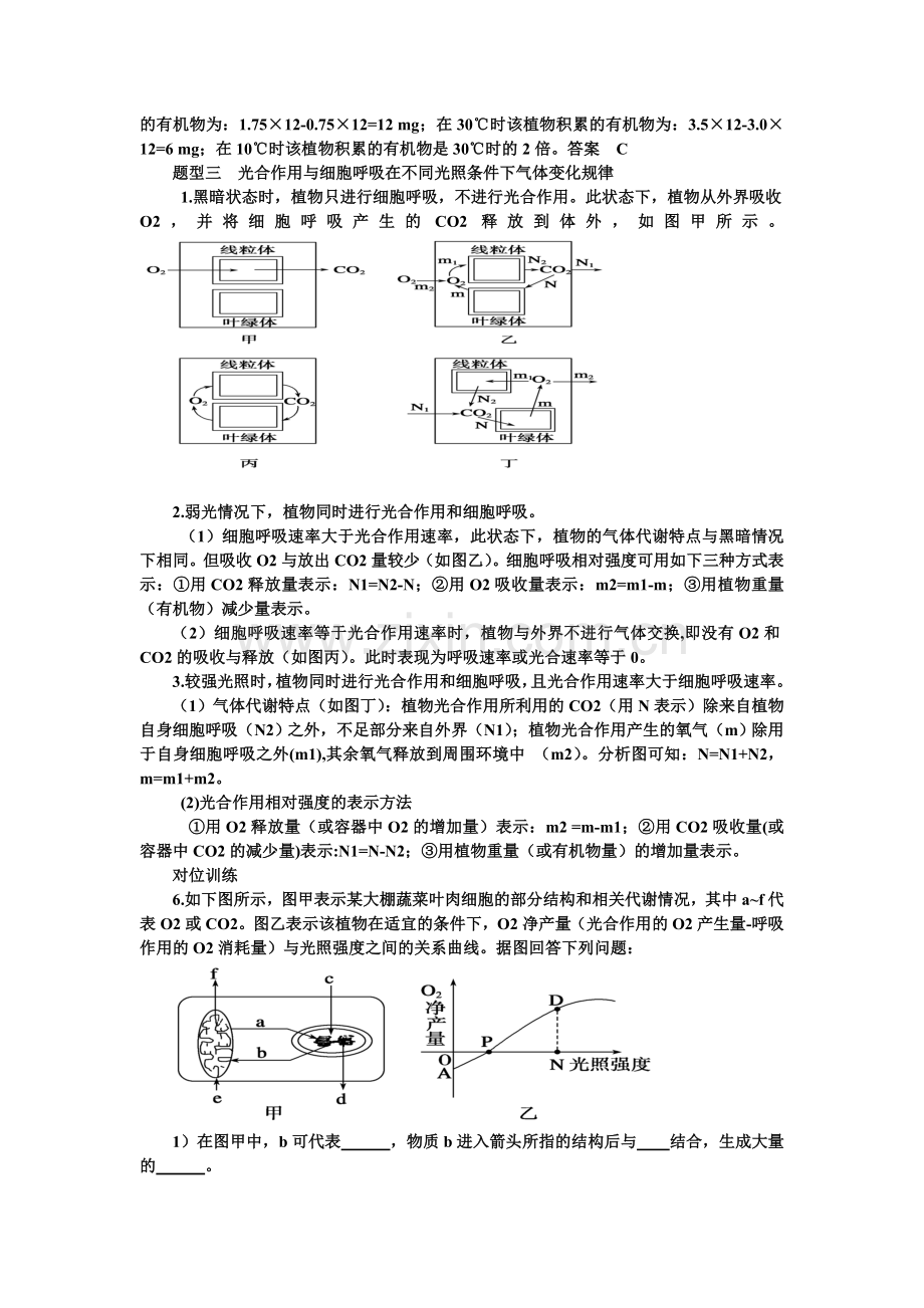 光合与呼吸知识点梳理.doc_第3页