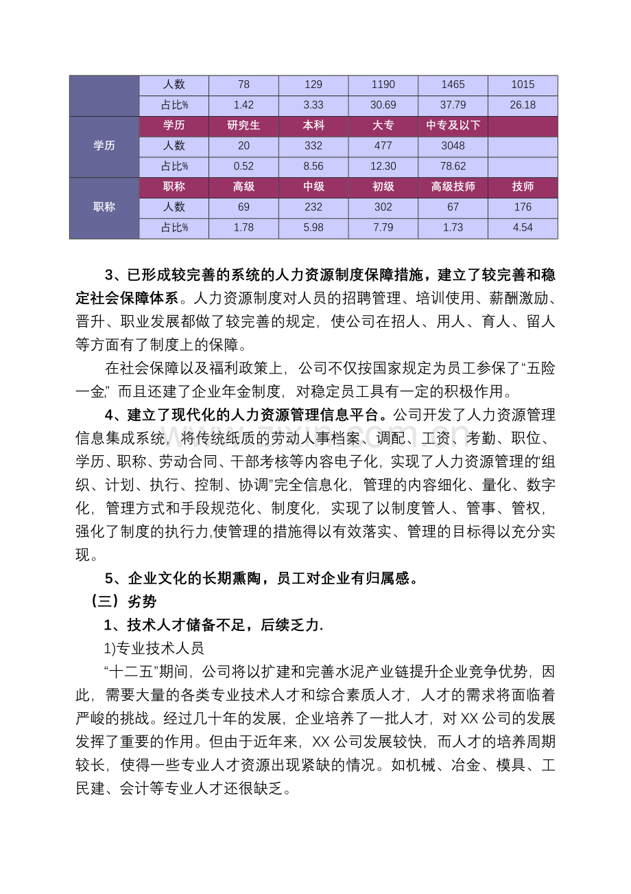 人力资源战略规划(范本).doc_第2页