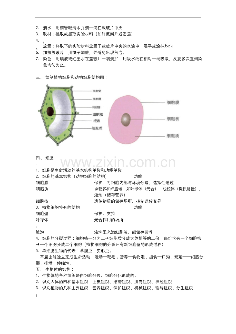 七年级生物上册复习提纲北京课改版.docx_第2页