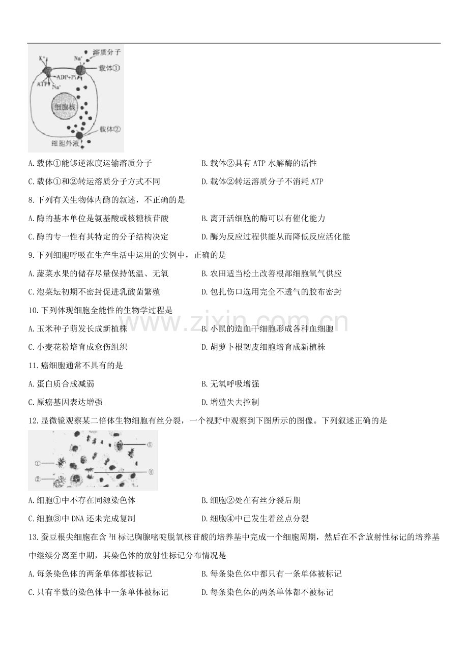 海淀区2017届高三上学期期中考试生物试题.doc_第2页