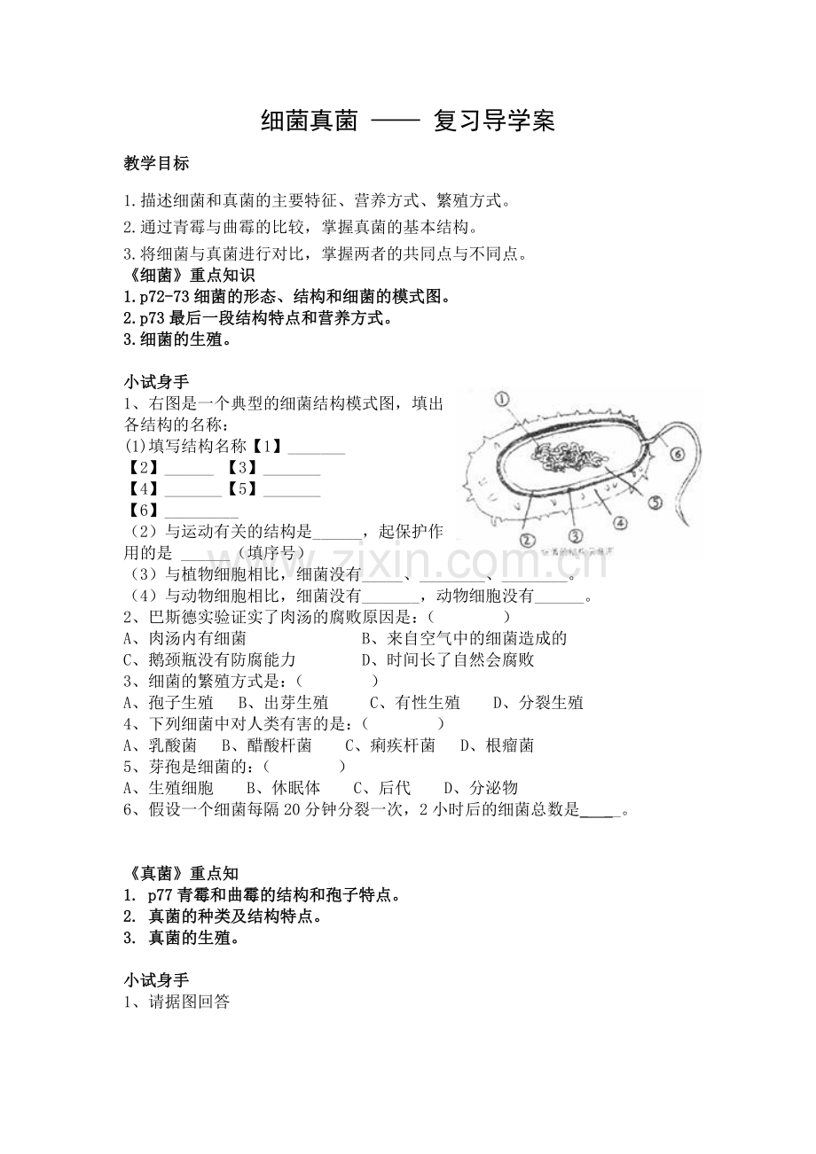 细菌真菌复习导学案.doc_第1页