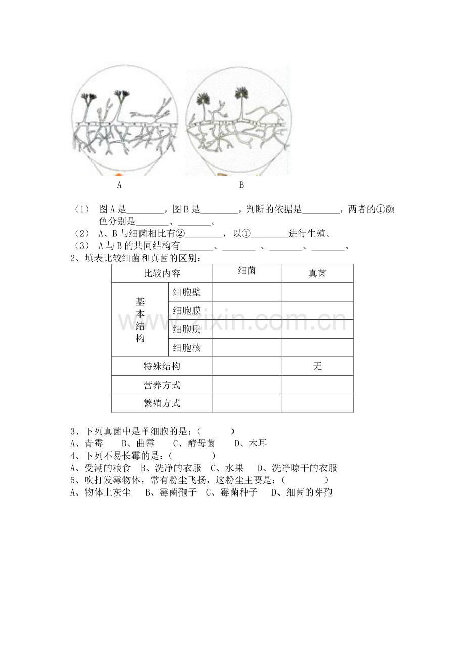 细菌真菌复习导学案.doc_第2页