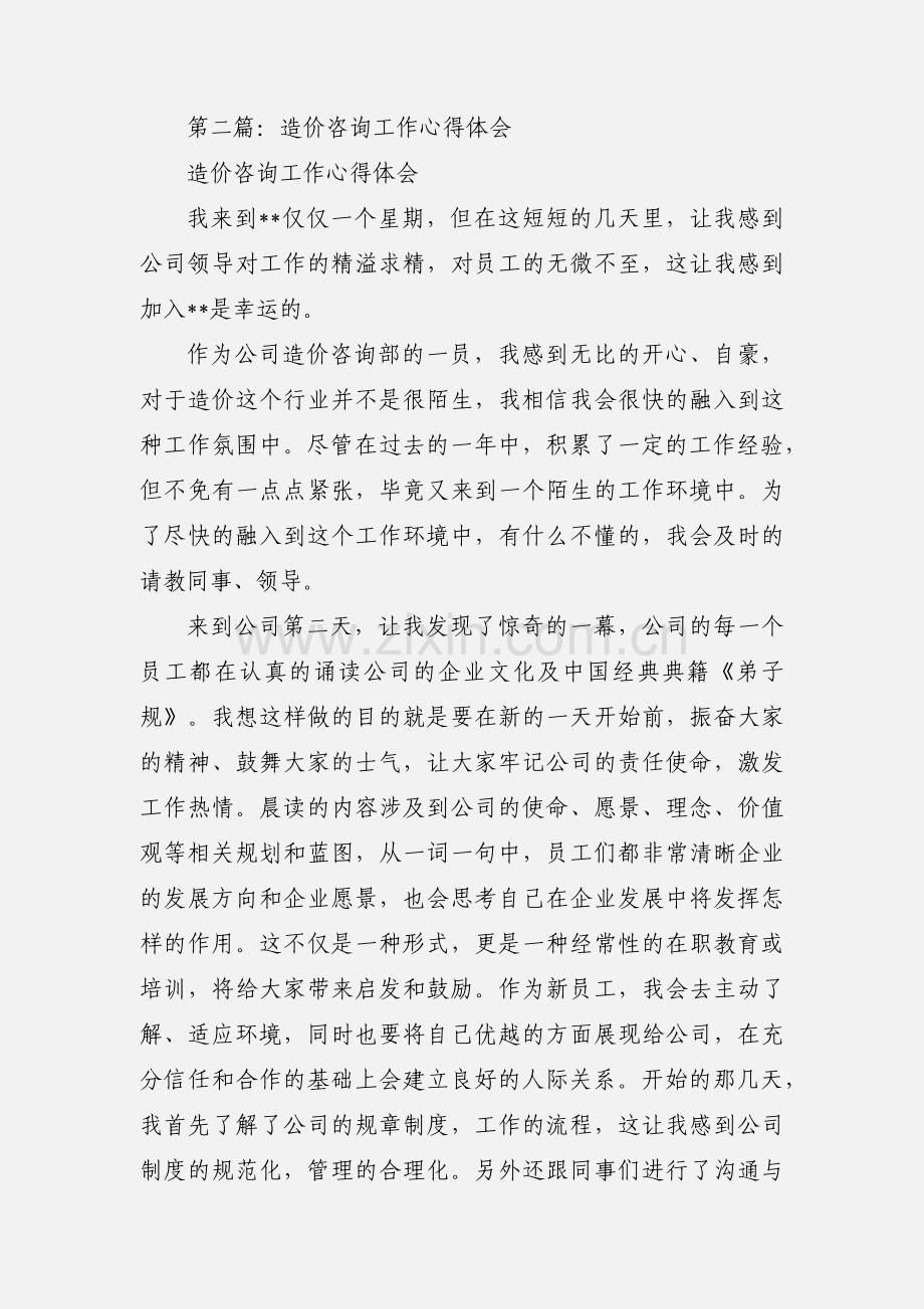 咨询工作心得体会(多篇).docx_第3页