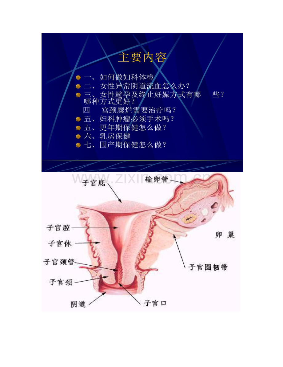 女性生理健康知识讲座汇总...doc_第2页